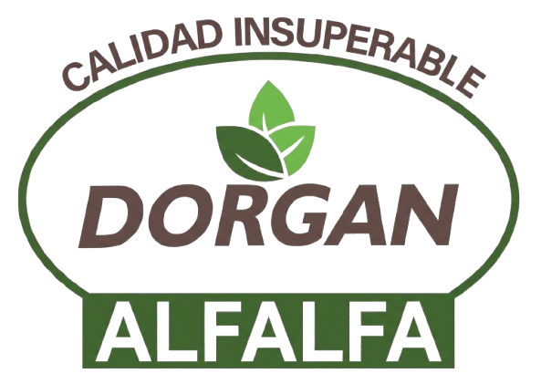 Dorgan Logo
